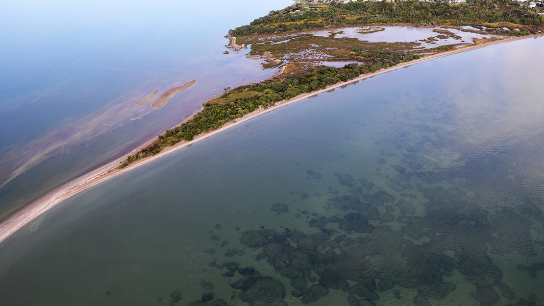 Tahuna Torea sand bank extending into the estuary.