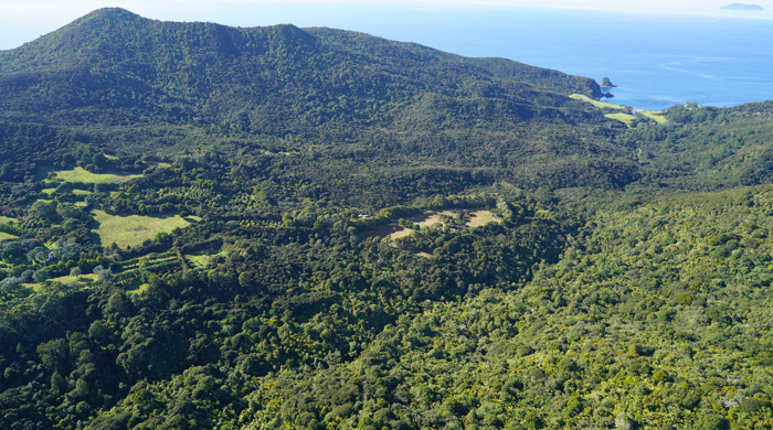 Windy Hill Sanctuary on Aotea / Great Barrier Island. 