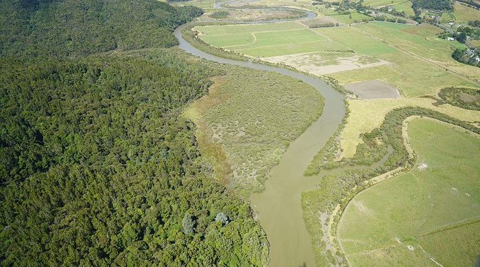 Kaukapakapa Estuary Scientific Reserve with river and forest. 