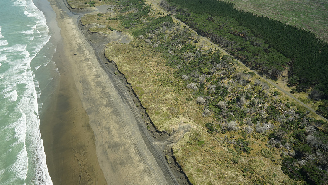 Muriwai Regional Park with waves breaking against the shore.