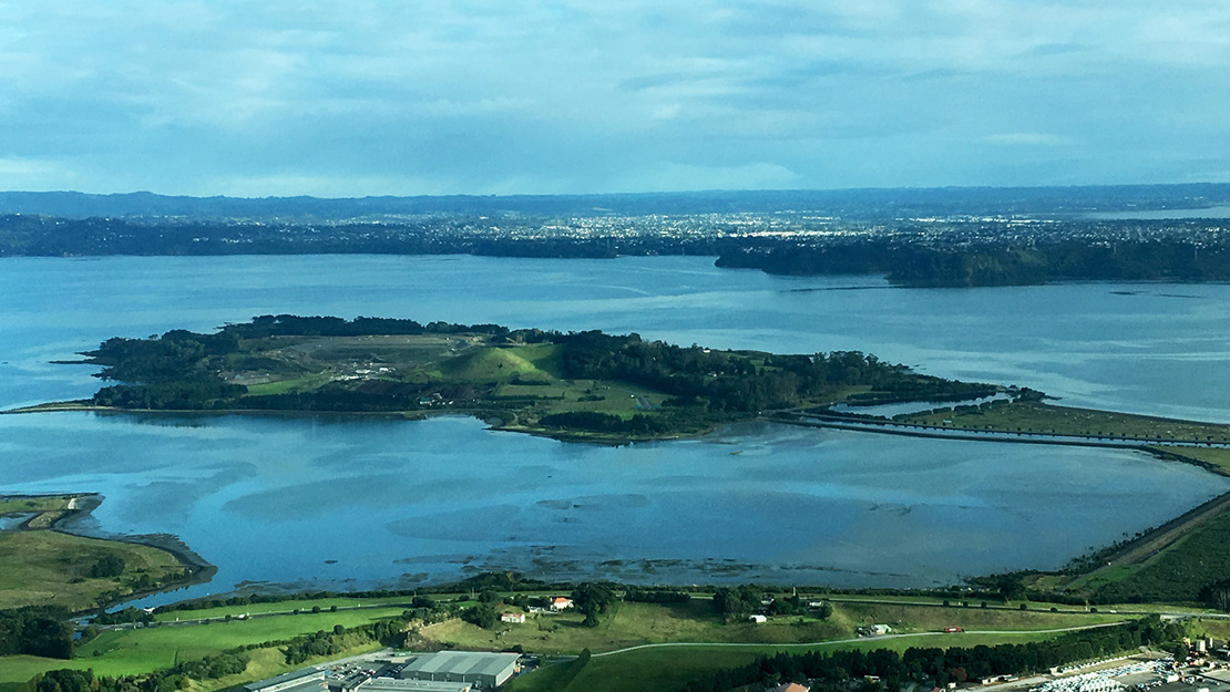 Puketutu Island. 