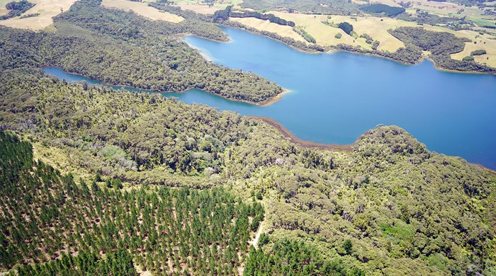 Wetlands and lakes of Lake Rototoa – Te Rau Pūriri BFA.