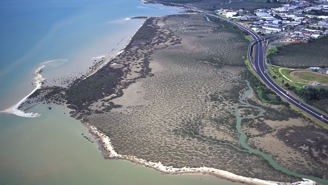 View east over Pollen Island.