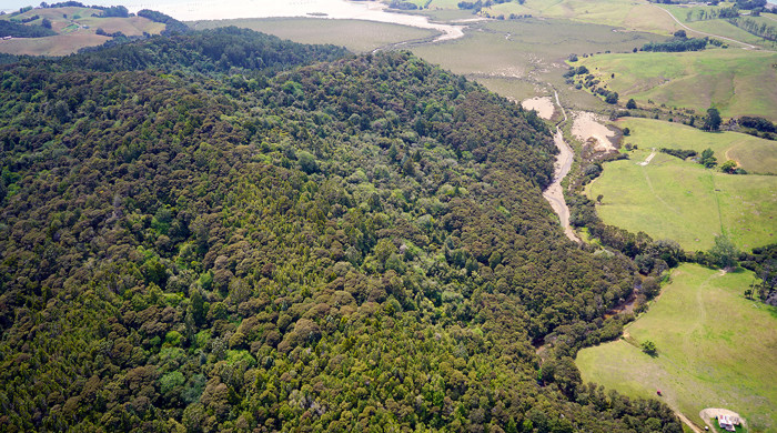 McElroy Scenic Reserve and forest.