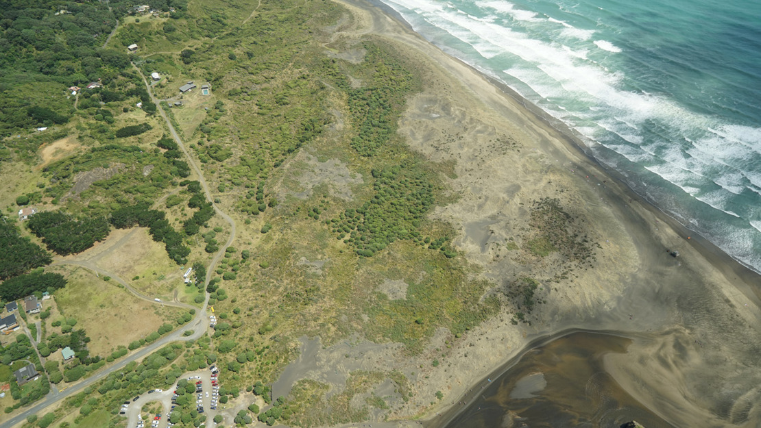 Foredunes and backdunes at Bethells Beach with established vegetation.