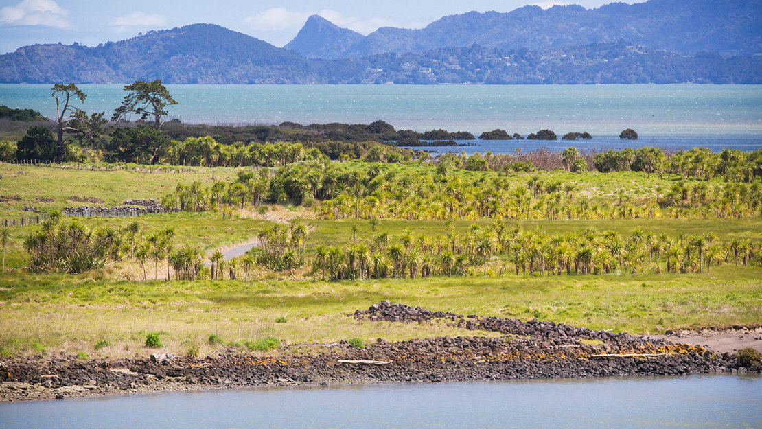  Ōtuataua biodiversity focus area.