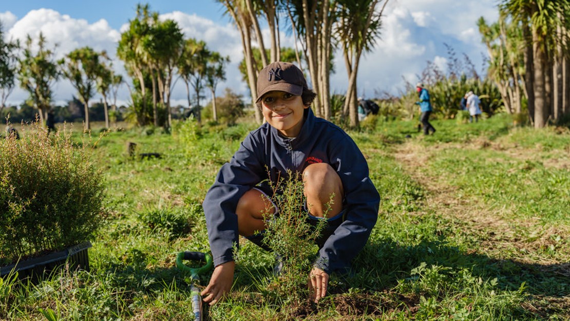 A young boy plants a small manuka at Puhinui reserve.