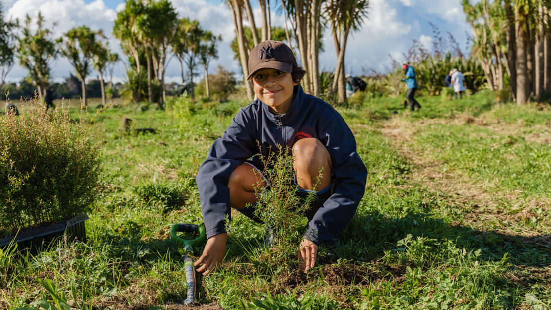 A young boy plants a small manuka at Puhinui reserve.