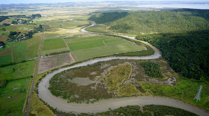 Kaukapakapa Estuary Scientific Reserve with river and forest.