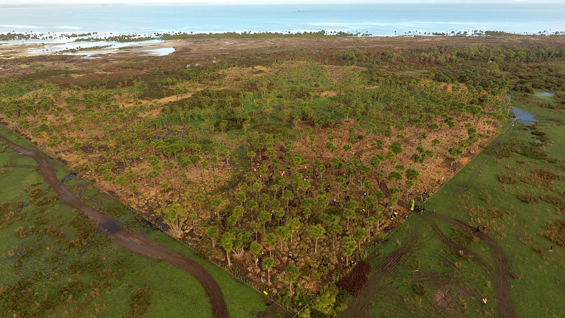 Puhinui Reserve.