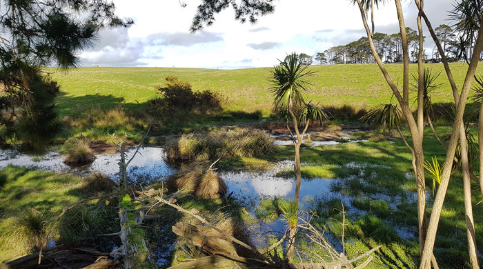 Price Road Wetland.