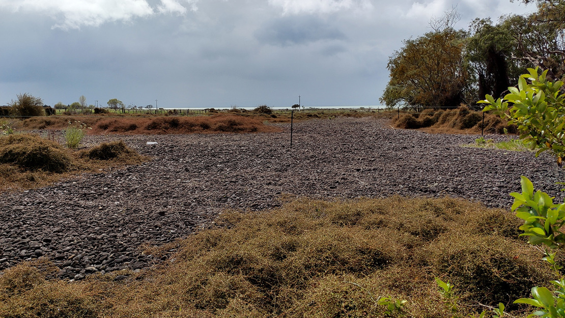 Whakatiwai Regional Park. 