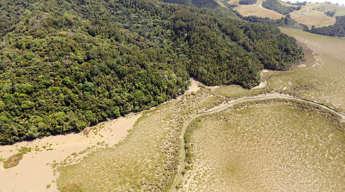 McElroy Scenic Reserve and forest.