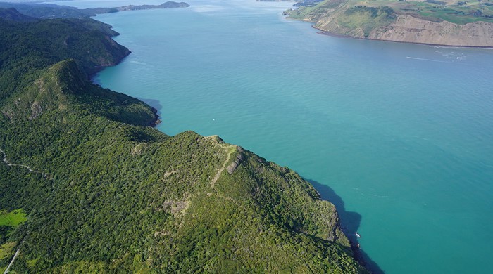 Omanawanui ridge and the Manukau Harbour.