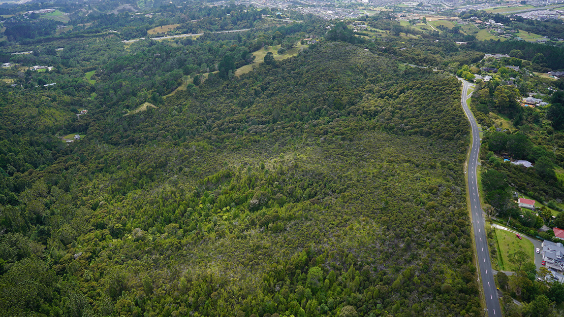 Gumland within Albany Scenic Reserve.