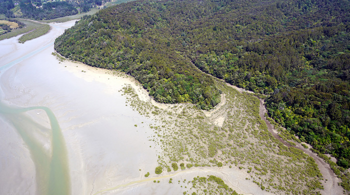 Okura river at low tide.