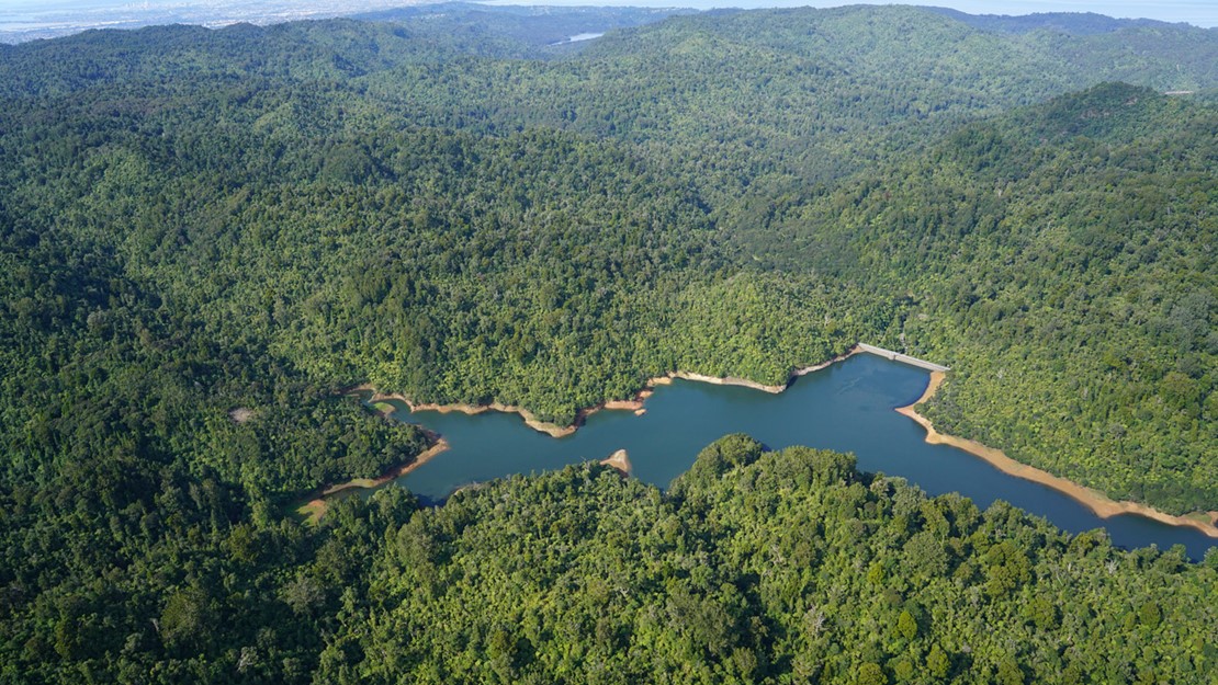 Upper Nihotipu Dam, resevoir and surrounding forests of Huia . 