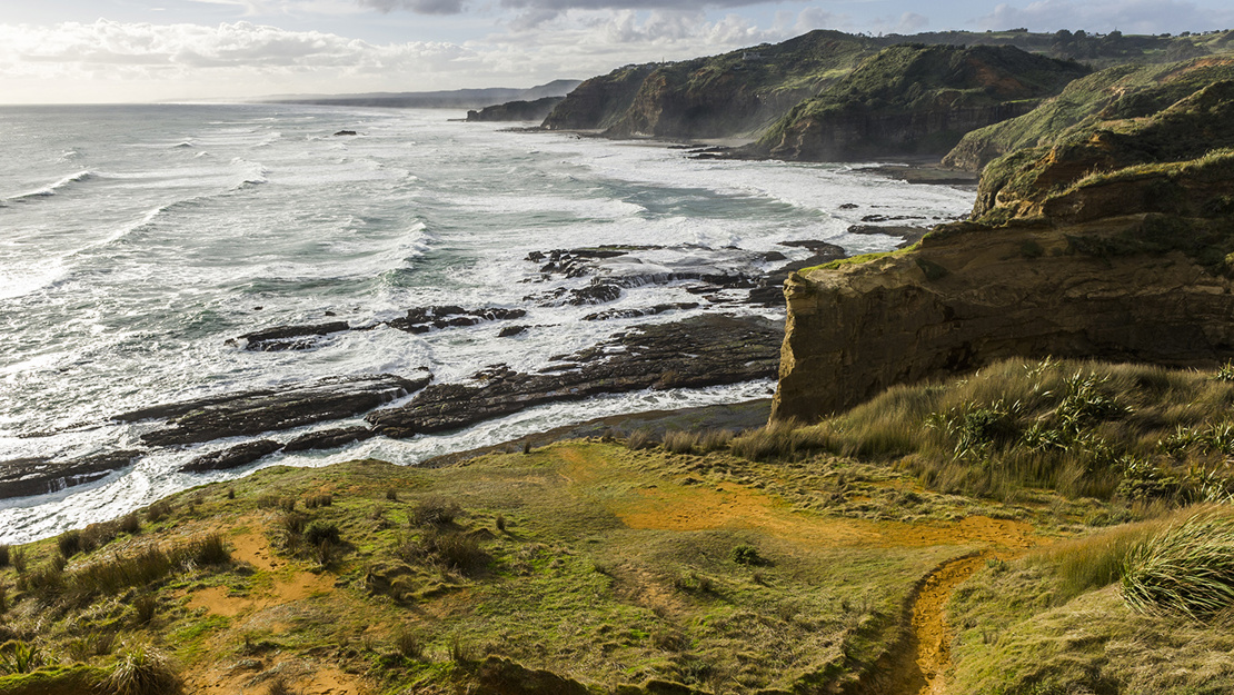 Rough rocky beach surrounded by grassy cliffs.