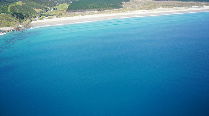 Te Ārai Beach.