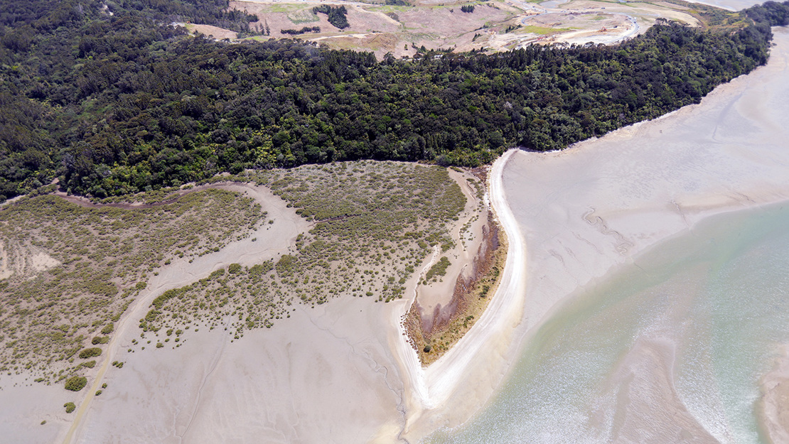 Okura Scenic Reserve.