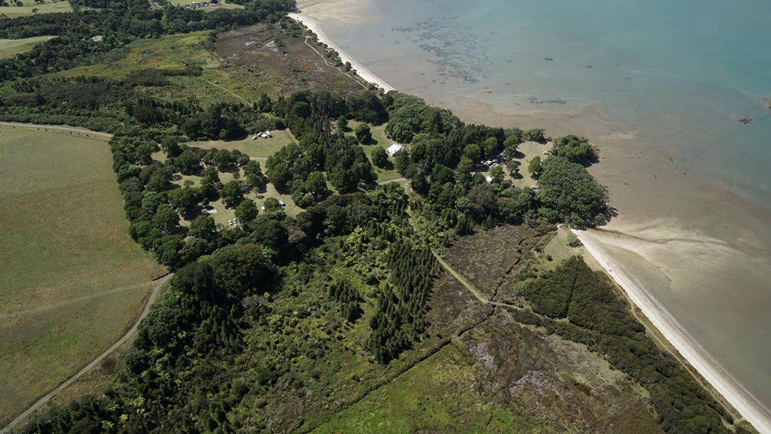 Saline wetland sequence at Āwhitu Regional Park.