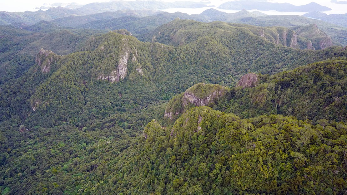 Mountainous interior of Great Barrier Island and Hirakimata / Mt Young.