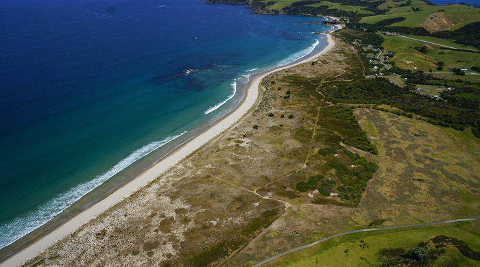 Dunes at Tāwharanui Open Sanctuary. 