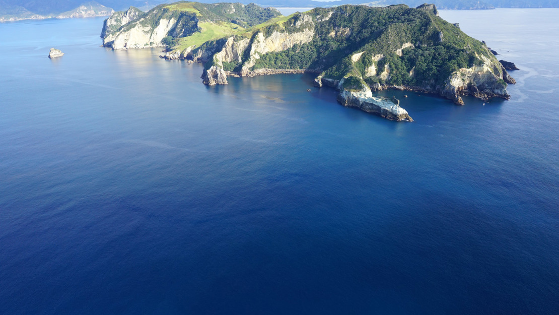 The eastern side of Rakitu Island. 