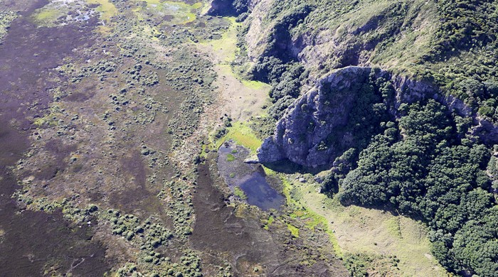 Vegetation within the Whatipu Biodiversity Focus Area.