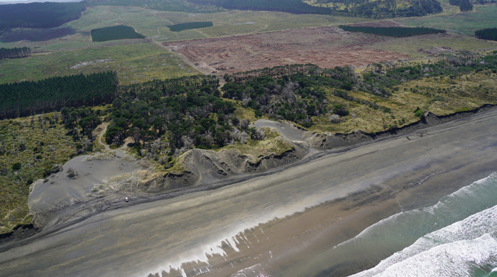 Muriwai Regional Park from the ocean with the trees and green hills stretching into the distance.